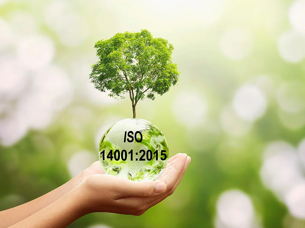 Umweltbewusst Baum ISO 14001-2015 zertifiziert